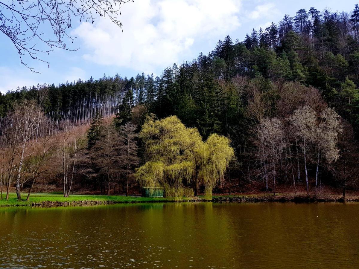 Schupplerova Vila Hostejn ภายนอก รูปภาพ
