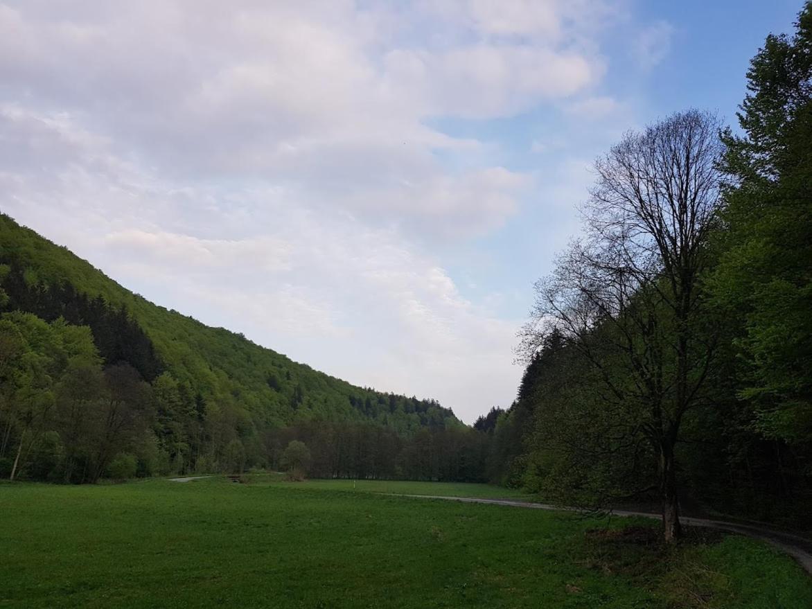 Schupplerova Vila Hostejn ภายนอก รูปภาพ