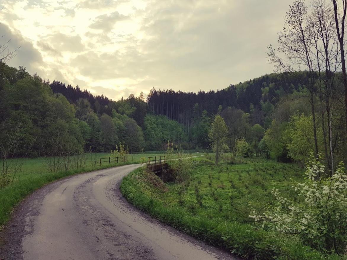 Schupplerova Vila Hostejn ภายนอก รูปภาพ